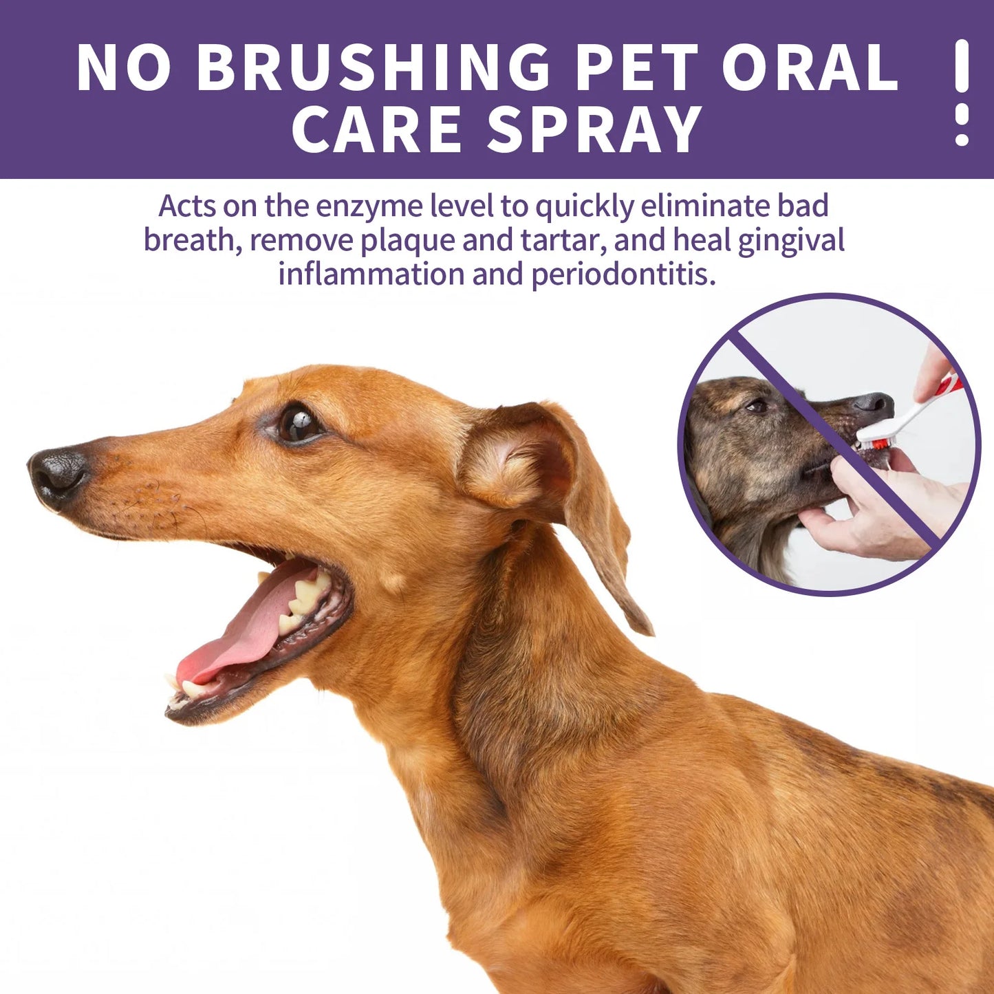 Pet Oral Cleaning Spray Dogs Cats Mouth Fresh Deodorant Remove Tartars Bad Breath Removal Health Care Pet Odor Cleaner