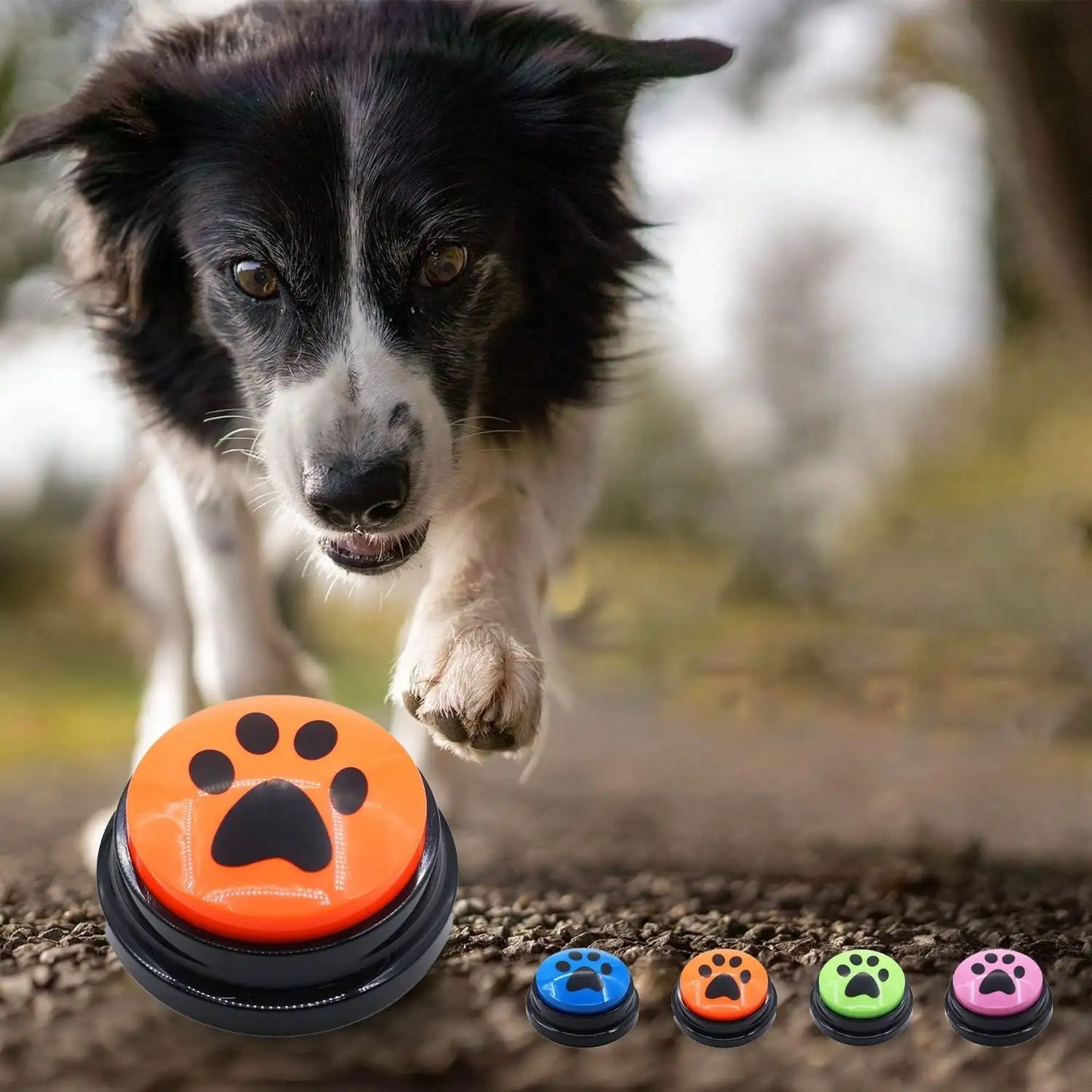 Easy recording button, fun and multifunctional dog button, friendly development, intelligent recording button, buzzer button