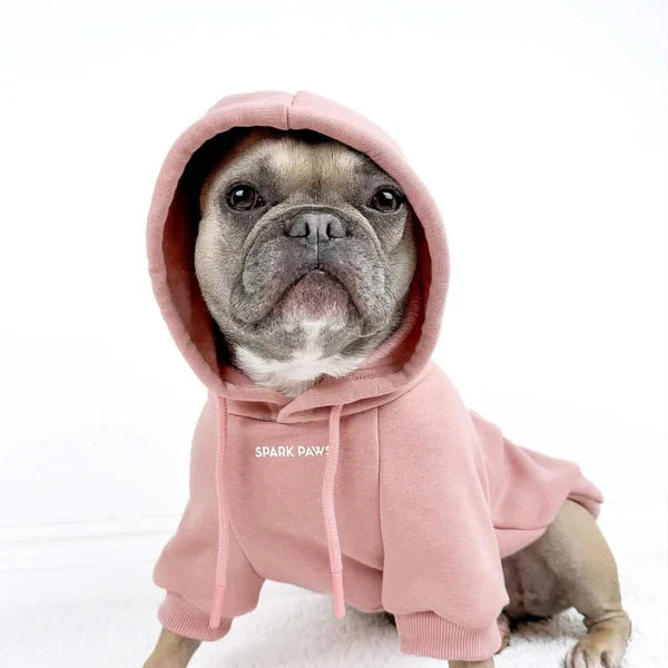 Pet Apparel