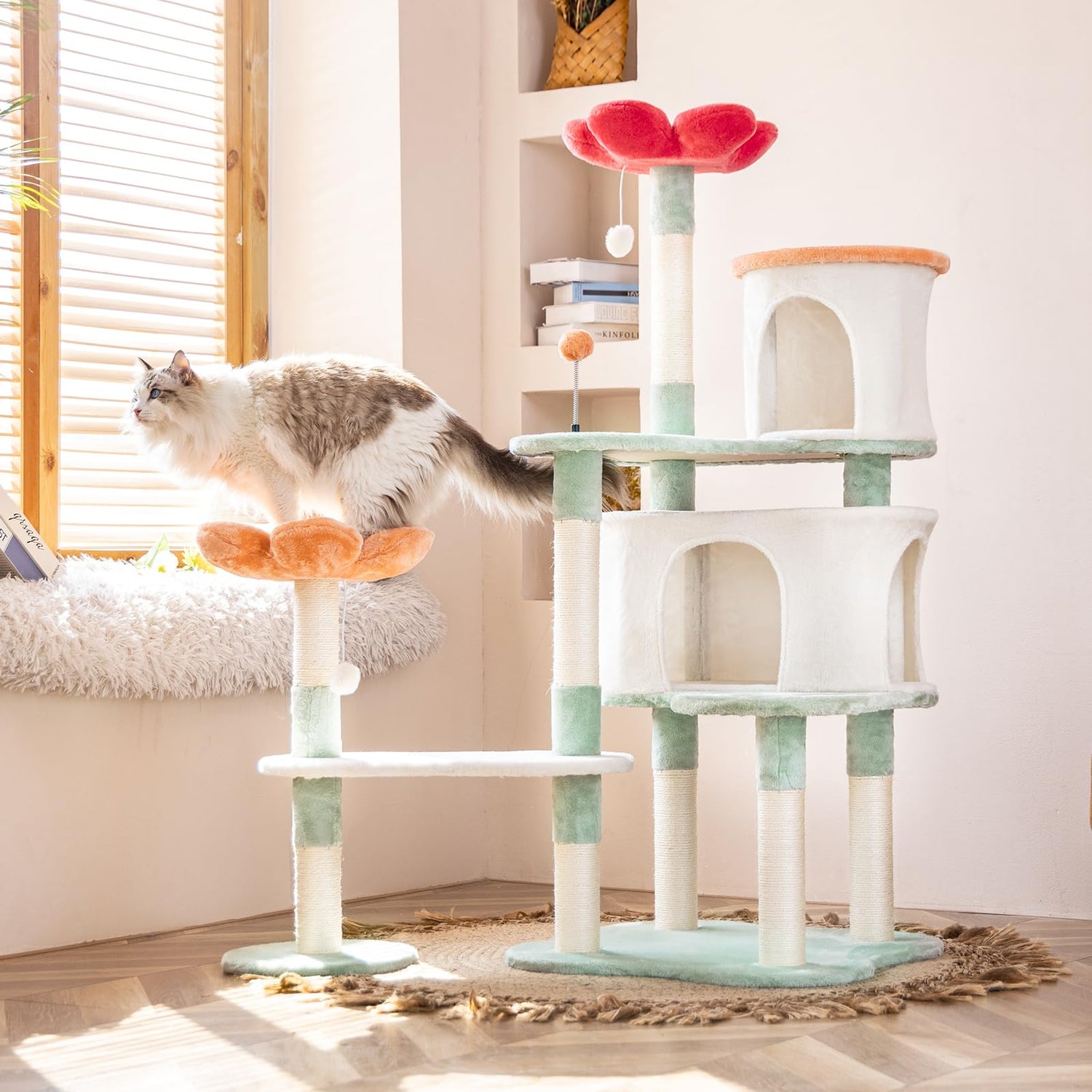 Pet Homes