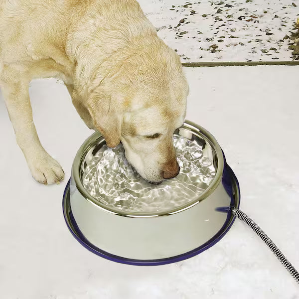 Water Dish