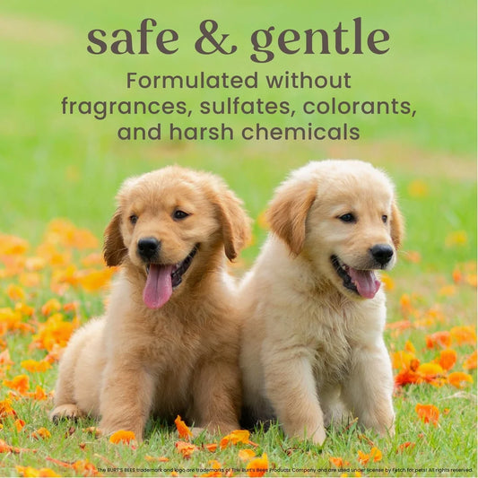 Natural Tearless 2-in-1 Dog Shampoo Conditioner Puppies Buttermilk Linseed Oil pH Balanced Nourishing Gentle Pet Care Formula