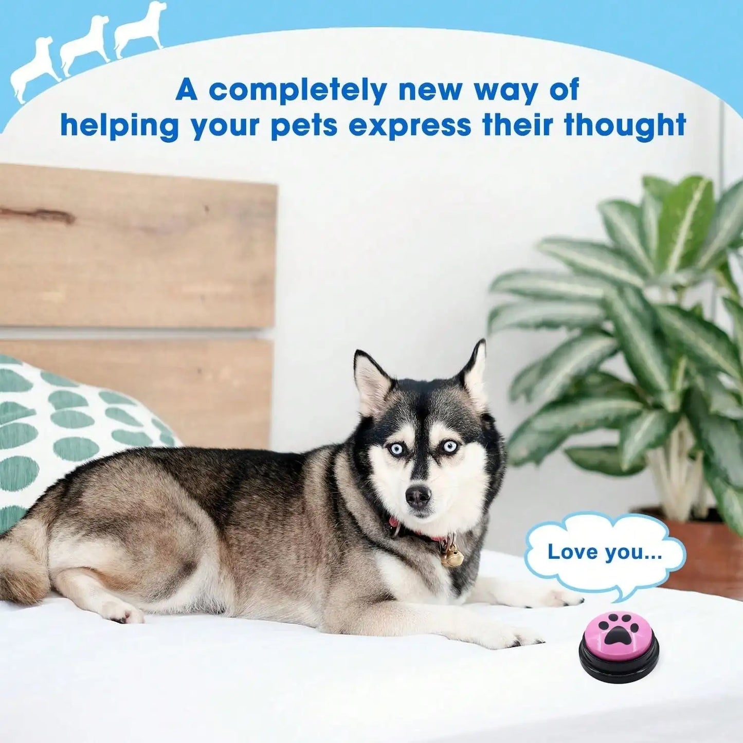 Easy recording button, fun and multifunctional dog button, friendly development, intelligent recording button, buzzer button